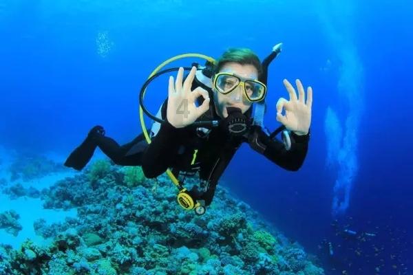 玩转500余名中国人在日本炒房“踩雷”,造成的损失有多严重?,尽享知识星球乐趣!